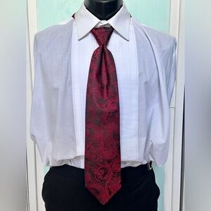 Scarlet Red Apple Tie Wedding Prom Tuxedo Pre Tied clip tapestry